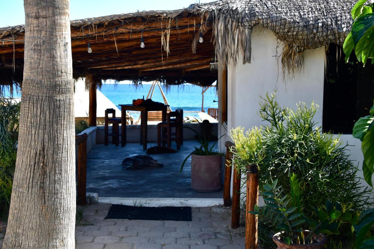 Rustico Lounge - Property In Front Of The Beach San José del Cabo Extérieur photo